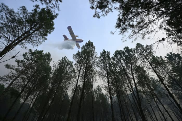 ヨーロッパの山火事、最新情報