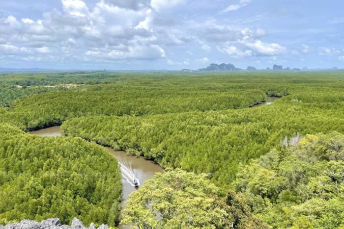 タイの森林管理に懸念広がる